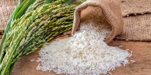 تصویر 3 از خرید و قیمت برنج مازندران طارم اصل + فروش صادراتی